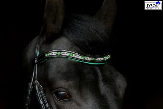 Trense Smaragt Gr�n Lack Glitzer / weiches Leder NUR VB - REST RAUS PREIS