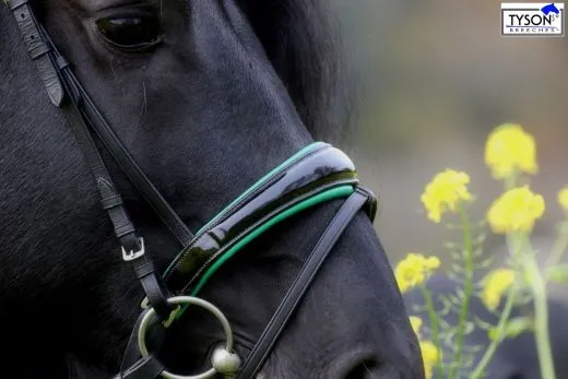 Trense Smaragt Gr�n Lack Glitzer / weiches Leder NUR VB - REST RAUS PREIS