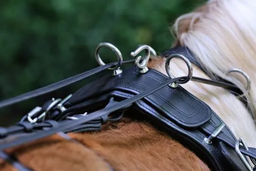 Biothane Einsp�nner Brustblatt Geschirr Set "STEADY" Minishetty Shetty Schwarz Falabella Minipony