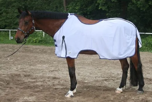 B WARE Ausreitdecke Fliegendecke Mash wei 145 cm ohne Hals mit Sattelausschnitt B- WARE - RCKLUFER Einzelstck