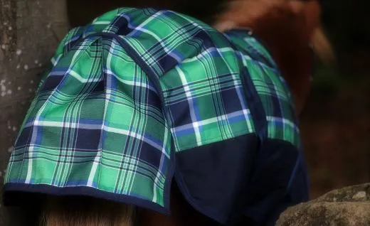 1200 D Gr�n Karo Winterdecke Regendecke 200 Gr. 65 70 75 85 90 95 100 cm R�ckenl�nge Thermodecke Weidedecke