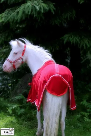 Abschwitzdecke Fleece ROT Knallrot 60 65 70 75 80 85 90 95 100 Decke Fleecedecke Minishetty Minipony Falabella Fohlen