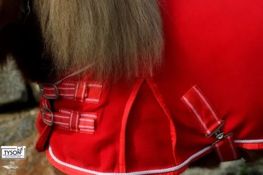 Abschwitzdecke Fleece ROT Knallrot 60 65 70 75 80 85 90 95 100 Decke Fleecedecke Minishetty Minipony Falabella Fohlen