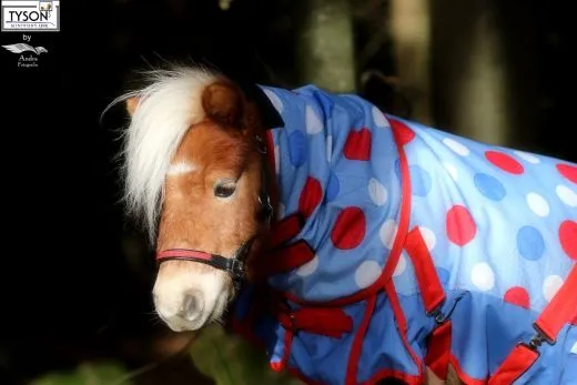 Halsteil f�r Regendecken S L XL XXL Braun Lila Points Gira Blau Gr�n Karo 1200 Denier