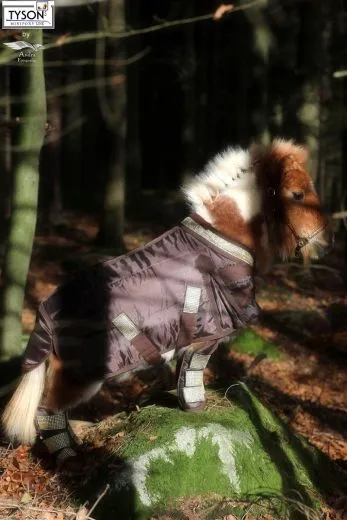 Stalldecke 150 Gr. SOLO GLITZER Braun o Schwarz GOLDI 60 70 80 90 100 110 cm