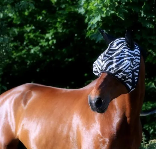 Fliegenhaube Fliegenmaske ZEBRA MS S P VB WB XF HIER MIT OHREN Viel Augenfreiheit Mash Netz