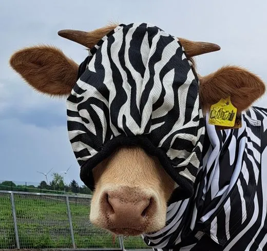 Fliegenhaube Fliegenmaske ZEBRA MS S P VB WB XF mit oder ohne Ohren Viel Augenfreiheit Fliegenschutzmaske