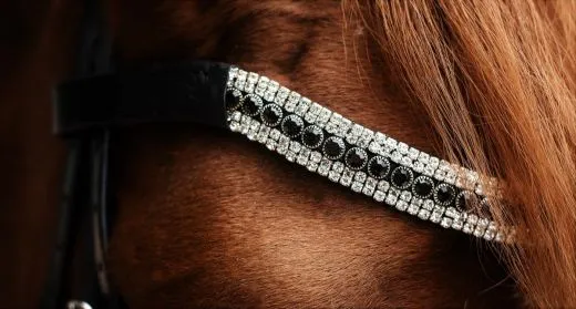 REST RAUS PREIS Trense Black n White Lack Strass Glitzer Schwarz Wei� nur noch VB Leder wei� unterlegt