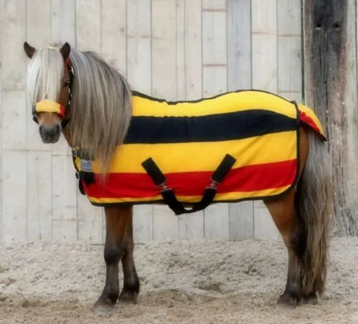 SET Abschwitzdecke + Halfter 60 70 80 90 100 110 cm MS + Shetty Stripes Gray