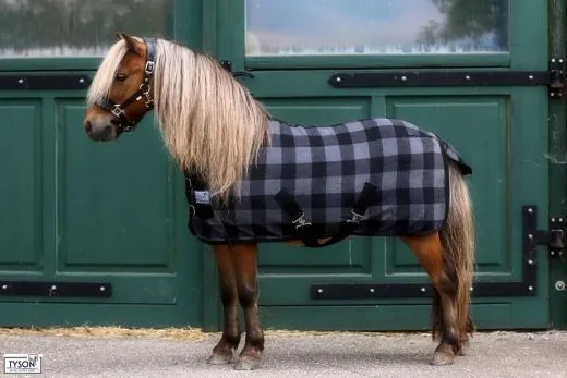 SET Abschwitzdecke + Halfter 60 70 80 90 100 110 cm MS + Shetty Stripes Gray