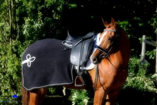 Parade Ausreitdecke Nierendecke Fleece Schwarz Goldfarben PONY / VB REST NUR NOCH Schwarz / Goldfarben !