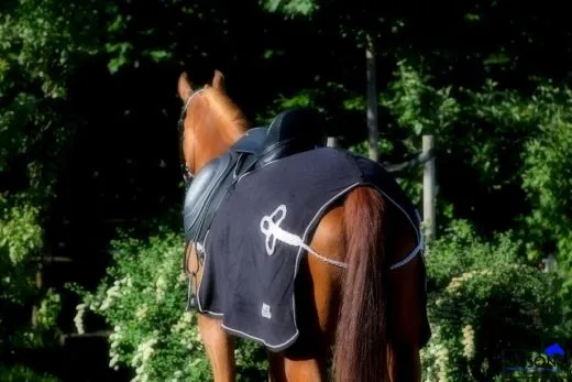 Parade Ausreitdecke Nierendecke Fleece Schwarz Goldfarben PONY / VB REST NUR NOCH Schwarz / Goldfarben !