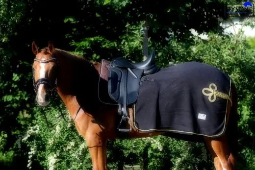 Parade Ausreitdecke Nierendecke Fleece Schwarz Goldfarben PONY / VB REST NUR NOCH Schwarz / Goldfarben !
