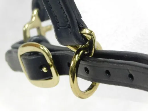 Grand Western Showhalfter Biothane Halfter Grand Minishetty + Shetty Beschl�ge Gold Farben MS S Westernhalfter