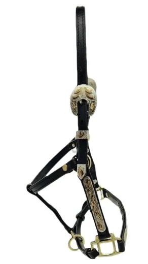 Grand Western Showhalfter Biothane Halfter Grand Minishetty + Shetty Beschl�ge Gold Farben MS S Westernhalfter