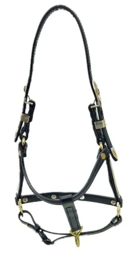 Grand Western Showhalfter Biothane Halfter Grand Minishetty + Shetty Beschl�ge Gold Farben MS S Westernhalfter