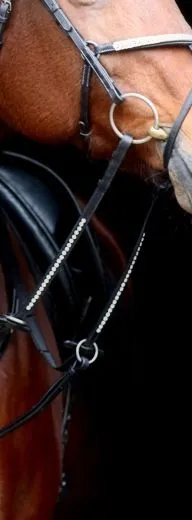 Gummiz�gel Strass Gummi Z�gel Deister 2,60 2,80 Strass Schwarz Braun Innen. Zaumh�ken Glitzerz�gel gummiert Glitzer