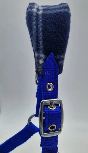 Halfter Karo Fleece Blau Minishetty Mini Shetty Fohlen Nylon Royal Nylonhalfter Fohlenhalfter