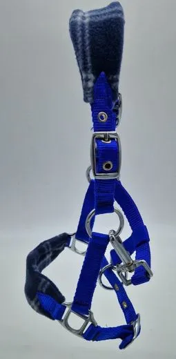 Halfter Karo Fleece Blau Minishetty Mini Shetty Fohlen Nylon Royal Nylonhalfter Fohlenhalfter