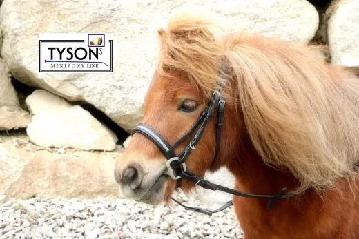 Trense Miri Leder Strass Schwarz Rot Glitzer MS S + Gummi Z�gel REST 1X MS 1 X S