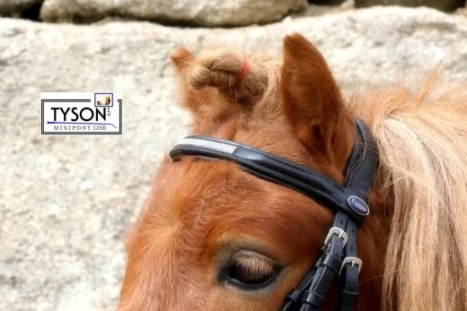 Trense Miri Leder Strass Schwarz Rot Glitzer MS S + Gummi Z�gel REST 1X MS 1 X S