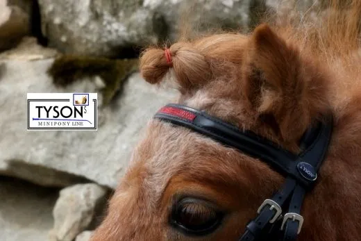 Trense Miri Leder Strass Schwarz Rot Glitzer MS S + Gummi Z�gel REST 1X MS 1 X S