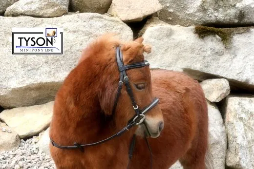 Trense Miri Leder Strass Schwarz Rot Glitzer MS S + Gummi Z�gel REST 1X MS 1 X S