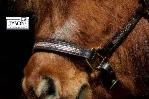 Halfter Rosl Leder Strass Braun oder Schwarz Ros�gold Minishetty Shetty Lederhalfter Glitzer