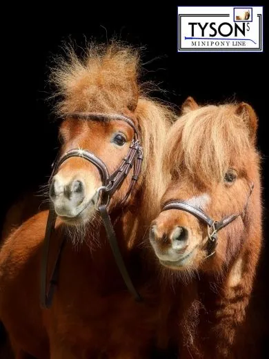 Halfter Rosl Leder Strass Braun oder Schwarz Ros�gold Minishetty Shetty Lederhalfter Glitzer