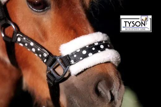 Halfter Polka Rot Blau Schwarz + Pl�sch + Klett MMS MS Shetty Kunstfell = abnehmbar