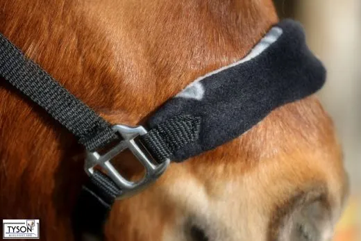 Halfter Schilli Fleece Minishetty Shetty