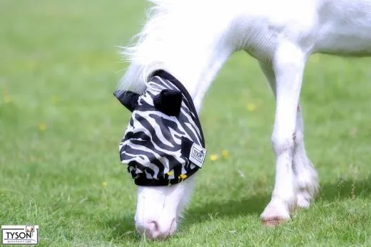 Fliegenhaube Fliegenmaske ZEBRA MS S P VB WB XF M I T Ohren Fliegenschutz Viel Augenfreiheit