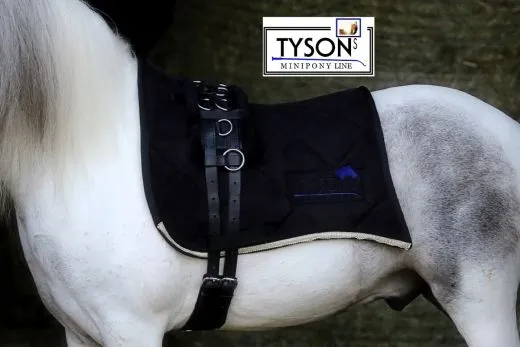 Antik Barock Samt Schabracke SET Beauty + Bandagen Show Shetty EINZELSET