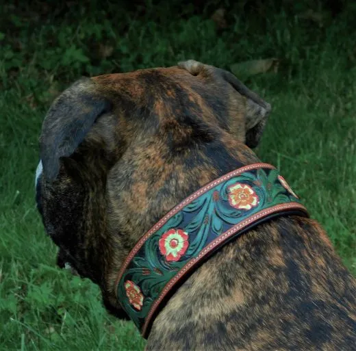 Halsband Embross Braun gestanzt + bemalen Gr�n Blumen WEICH unterlegt M L XL Breit Hohe Zugkraft