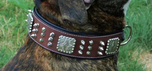 Halsband Leder Rocky Braun Schwarz Nieten WEICH unterlegt M L XL Breit Beiss Schutz Nietenhalsband