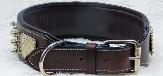 Halsband Leder Rocky Braun Schwarz Nieten WEICH unterlegt M L XL Breit Beiss Schutz Nietenhalsband