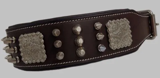 Halsband Leder Rocky Braun Schwarz Nieten WEICH unterlegt M L XL Breit Beiss Schutz Nietenhalsband