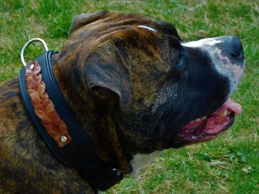 Halsband Robin Schwarz Braun geflochten Band super WEICH unterlegt M L XL