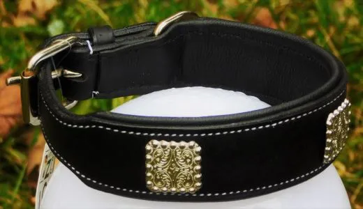 Halsband Zeus mit Conchos Schwarz Silber Farben super WEICH unterlegt M L XL