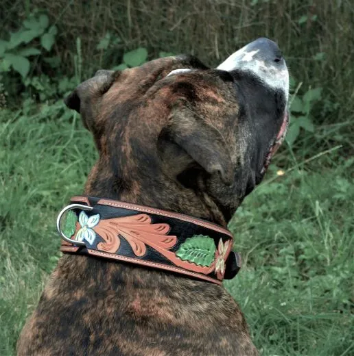 Halsband BOUQUET Braun gestanzt / bemalen Blumen WEICH unterlegt M L XL Breit Hohe Zugkraft BREIT