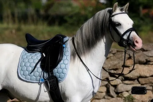 Sattel Ledersattel Diamont Glitzer 14 oder 15 Zoll Kopfeisen verstellbar Monosattel Sattel Shetty Welsh