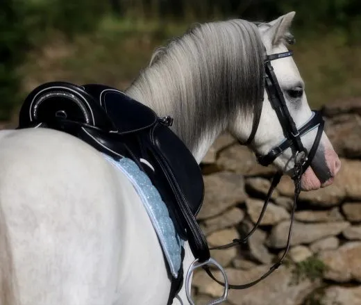 Sattel Ledersattel Diamont Glitzer 14 oder 15 Zoll Kopfeisen verstellbar Monosattel Sattel Shetty Welsh