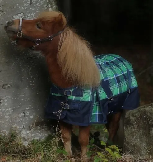 1200 D Gr�n Karo Winterdecke Regendecke 200 Gr. 65 70 75 80 85 90 95 100 Minishetty Shetty Minipony Welsh Thermodecke