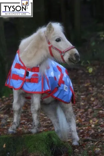 1200 D Regendecke POINTS 65 70 75 80 85 90 95 100 cm ohne F�llung oder 200 Gramm Thermo Minishetty Shetty Winterdecke