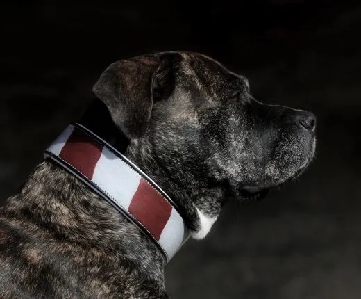 Andi Vintage Style Lederhalsband Rot Wei� Leder fest gen�ht S M L Halsband Leder