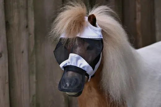 +- Fliegenhaube Lissy Klett + Gummizug DICHT + Nasenschutz ohne Ohren Minishetty Shetty Welsh A