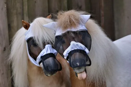 +- Fliegenhaube Lissy Klett + Gummizug DICHT + Nasenschutz ohne Ohren Minishetty Shetty Welsh A