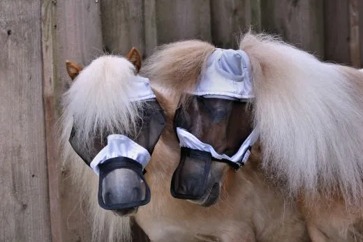 +- Fliegenhaube Lissy Klett + Gummizug DICHT + Nasenschutz ohne Ohren Minishetty Shetty Welsh A