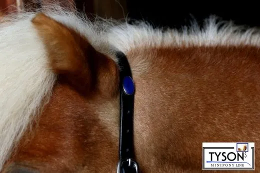 Lederhalfter KITTY teils rundgen�ht Schwarz Braun ZART MS Shetty