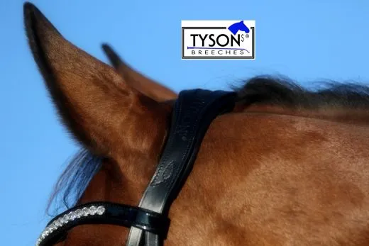 Trense Content Lack Leder Strass Glitzer VB WB X Full ergonomisch Schwarz 2 Varianten